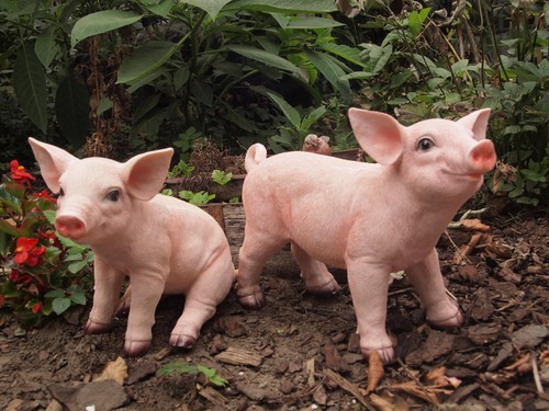 Schwein ferkel deko - ferkel,