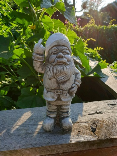 Gartenzwerg mit stinkefinger - ,