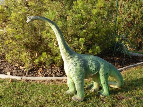 Dinosaurier brachiosaurus - dinosaurier,