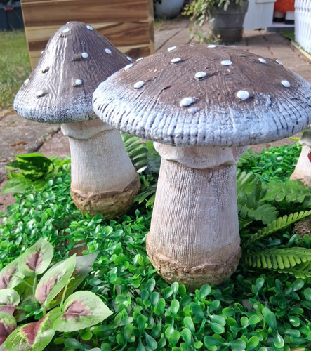 Pilze 2er set - pilze, gartendeko