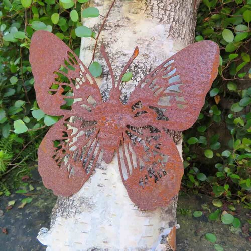Schmetterling edelrost rost - schmetterling,