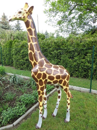 Baby giraffe xxl lebensgross - giraffe,